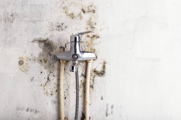 Best Mold Cleaning Services  in Hidden Meadows, CA