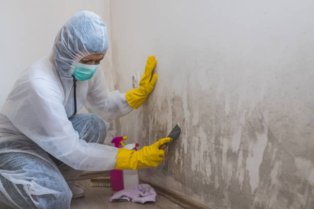 Crawl Space Mold Removal in Hidden Meadows, CA