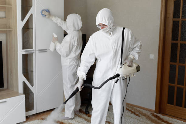 Best Commercial Mold Removal  in Hidden Meadows, CA